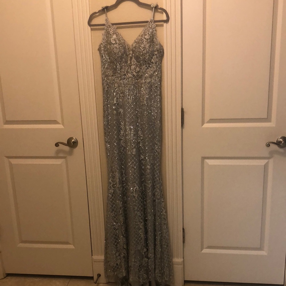 Elegant Silver Sequin Gown